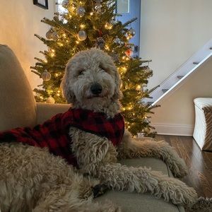 Meet your Posher, Kaity